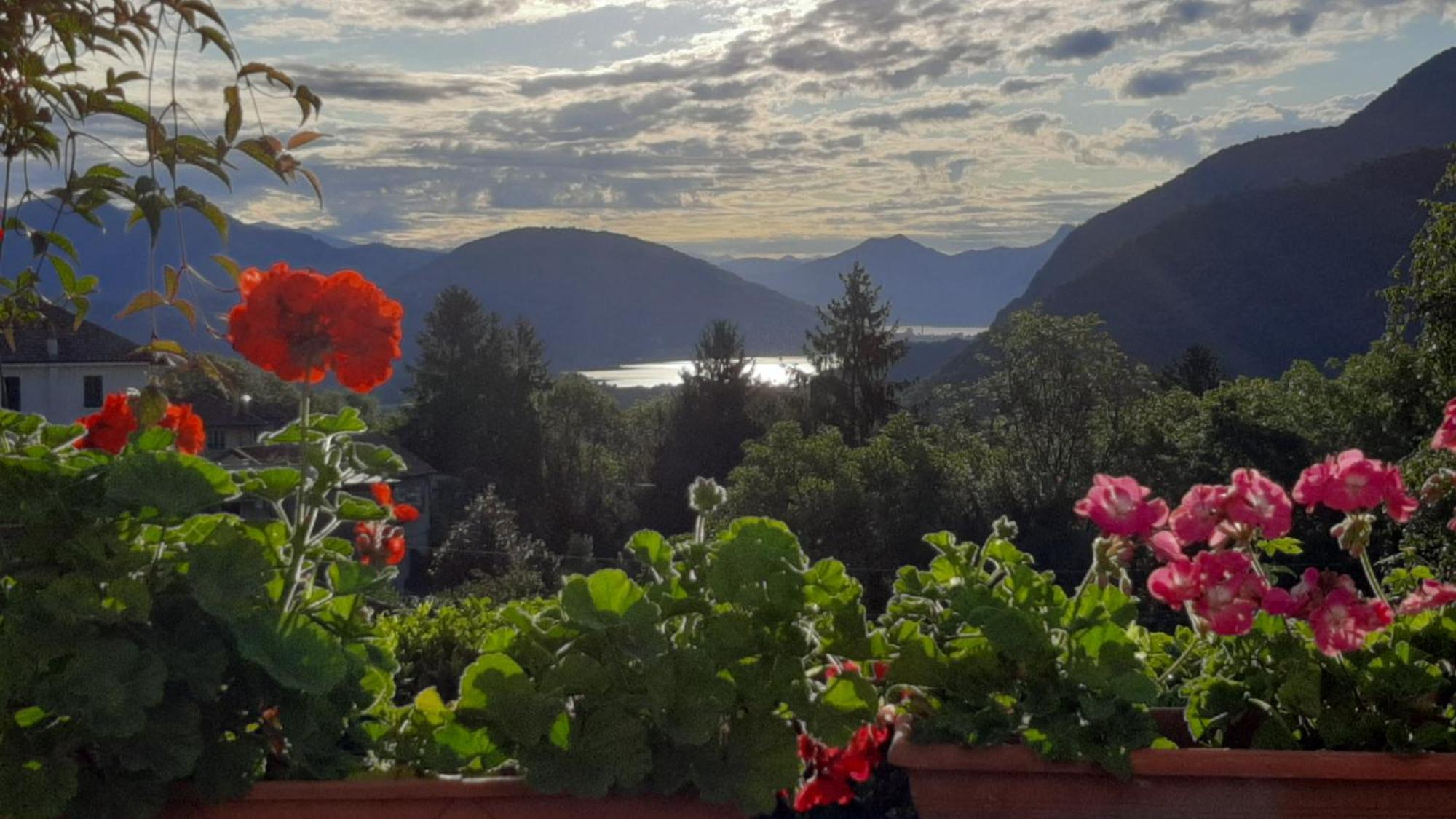 B&B Al Mutpron Casale Corte Cerro Екстер'єр фото
