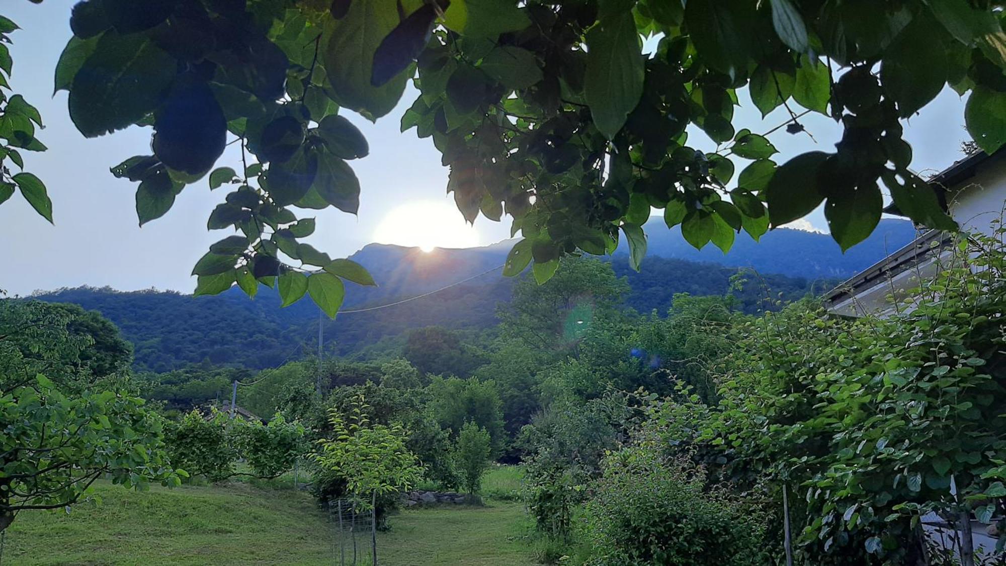 B&B Al Mutpron Casale Corte Cerro Екстер'єр фото