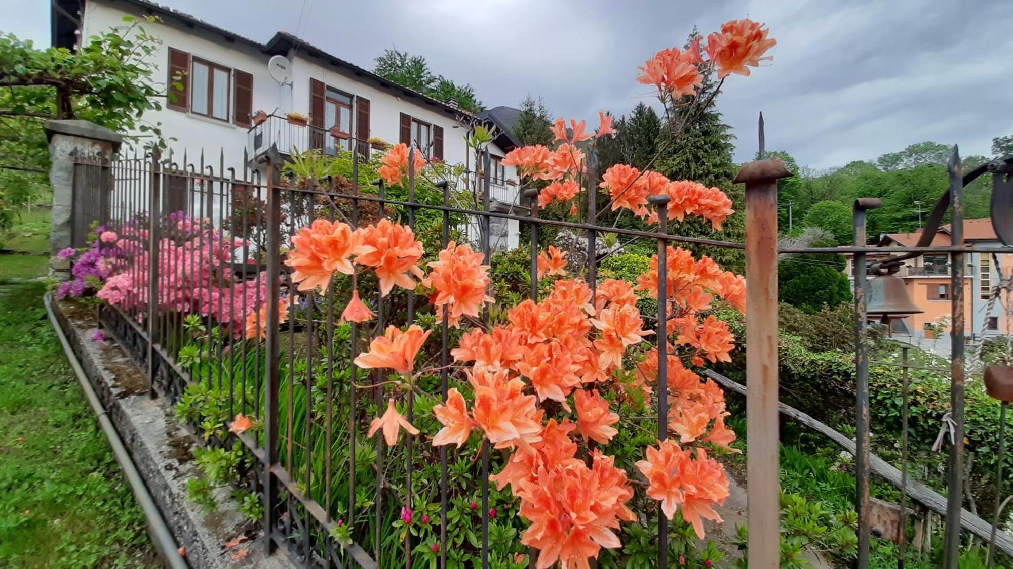 B&B Al Mutpron Casale Corte Cerro Екстер'єр фото