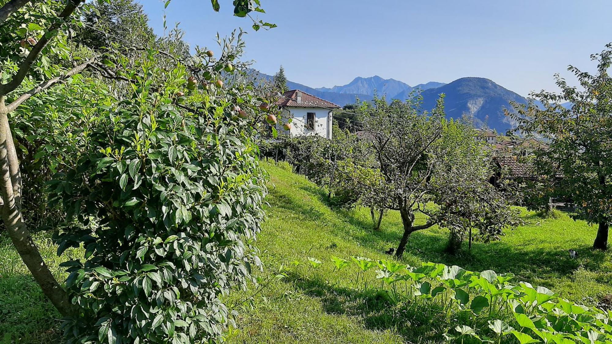 B&B Al Mutpron Casale Corte Cerro Екстер'єр фото
