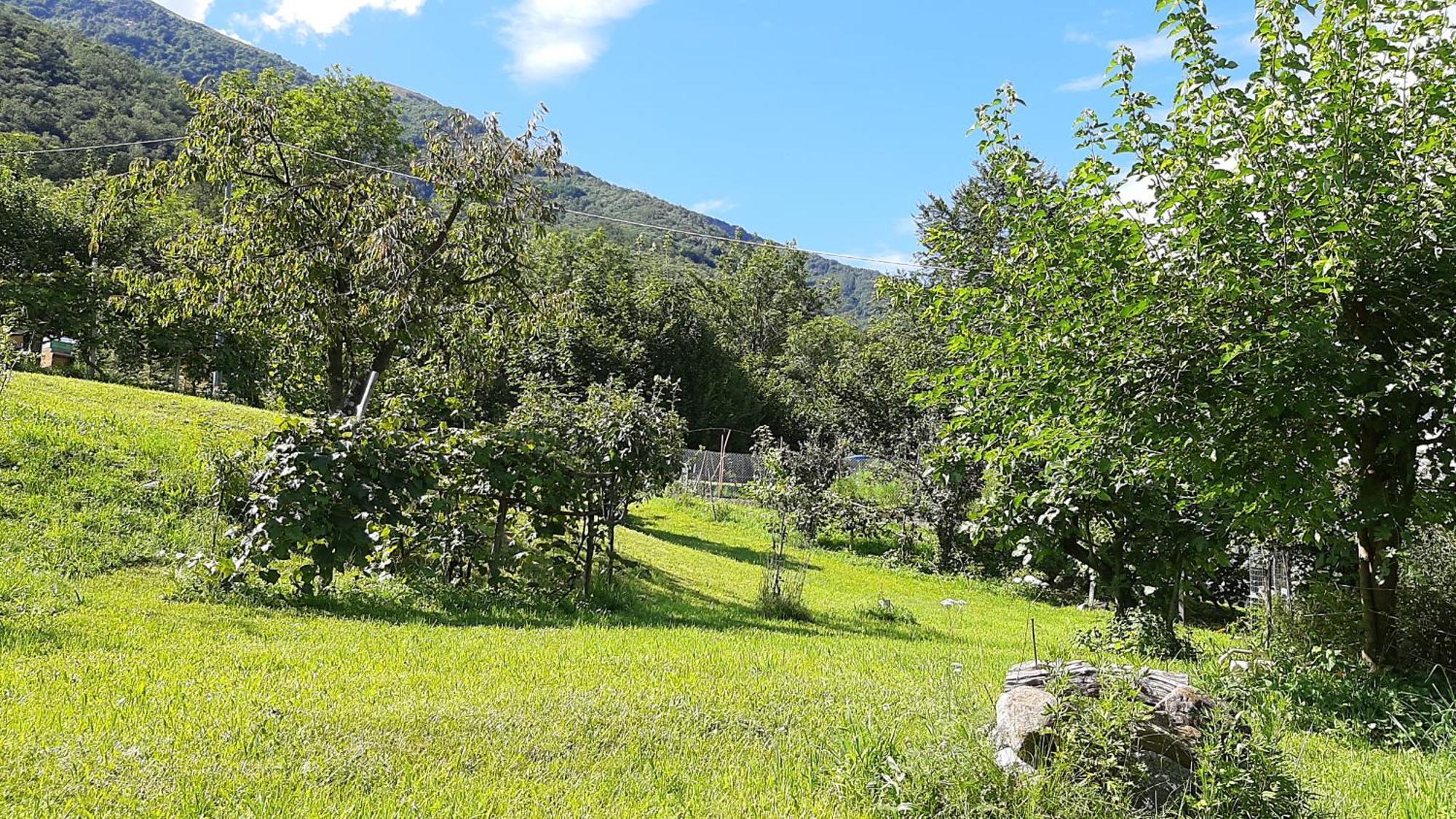 B&B Al Mutpron Casale Corte Cerro Екстер'єр фото
