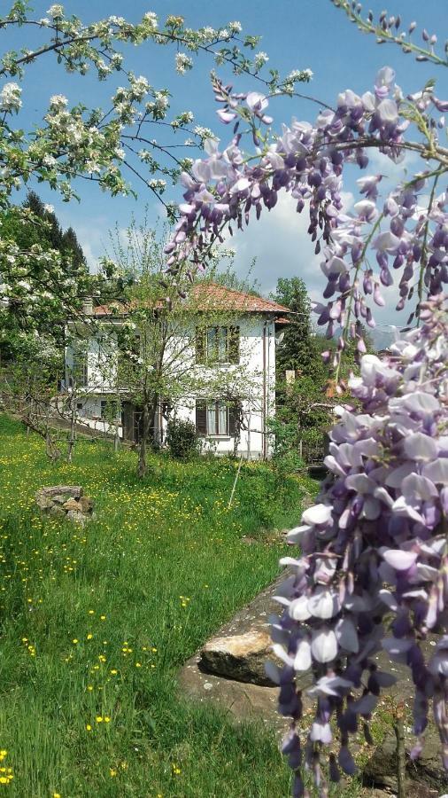 B&B Al Mutpron Casale Corte Cerro Екстер'єр фото