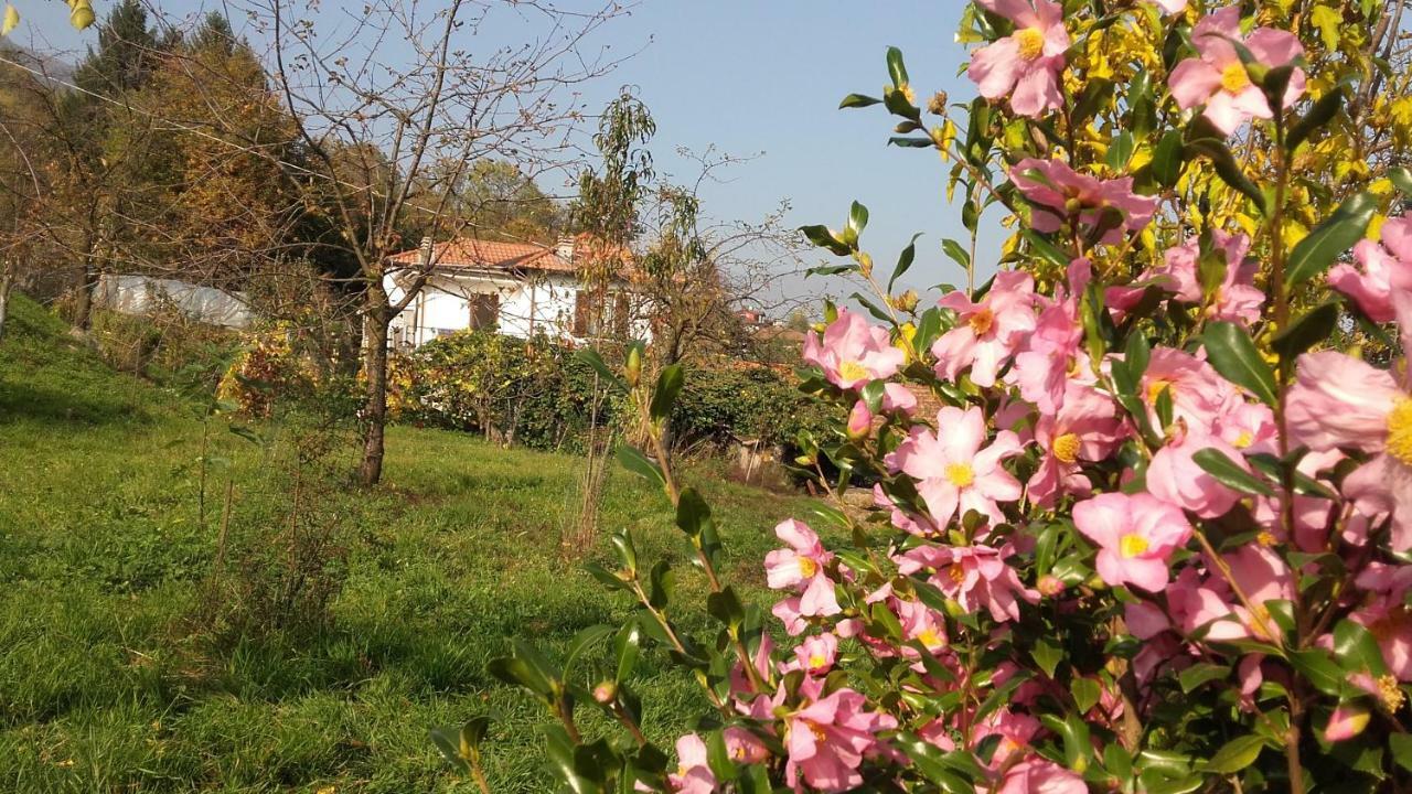 B&B Al Mutpron Casale Corte Cerro Екстер'єр фото